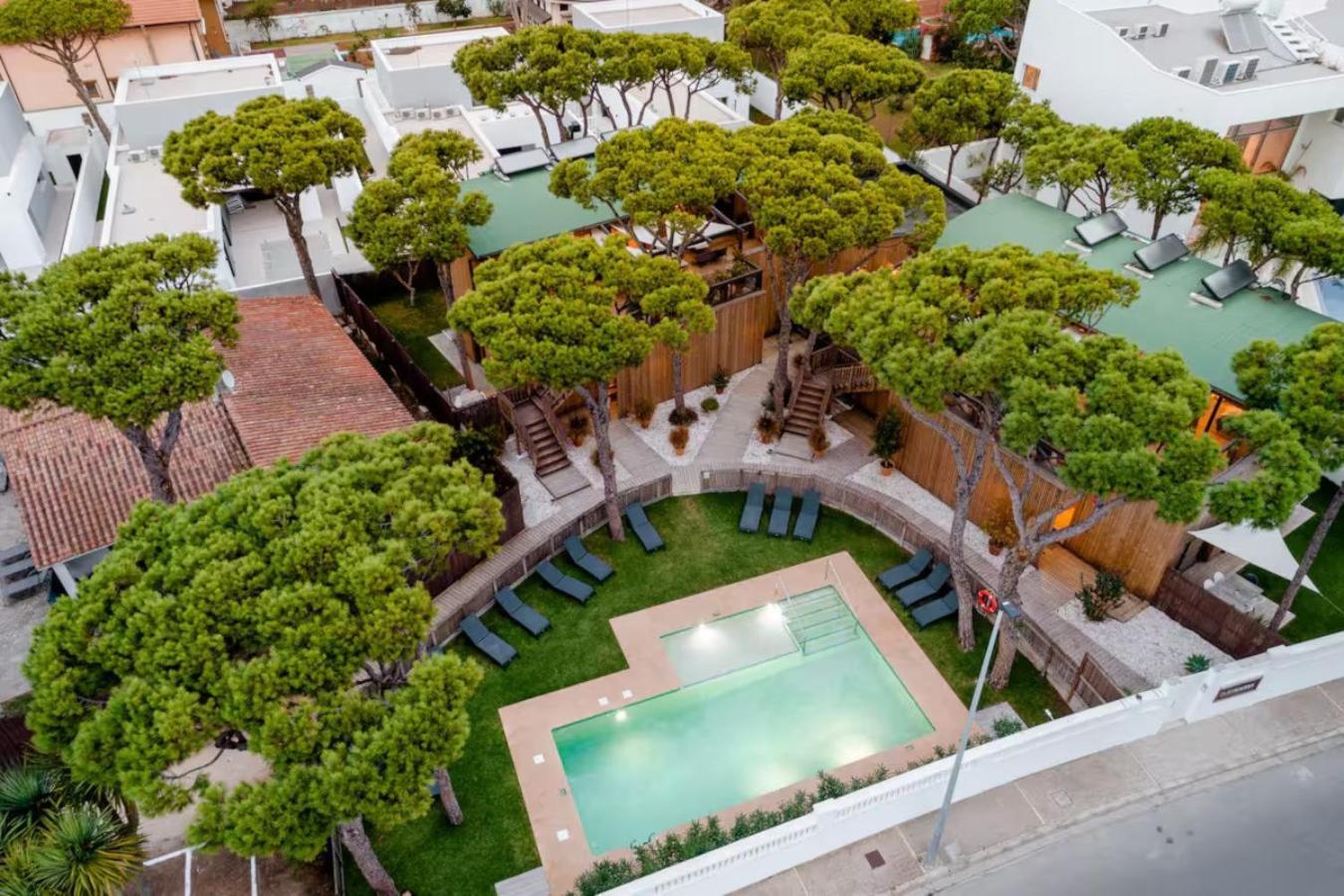 Apartamentos Biopasivos Living Pura Madera Chiclana de la Frontera Exterior photo