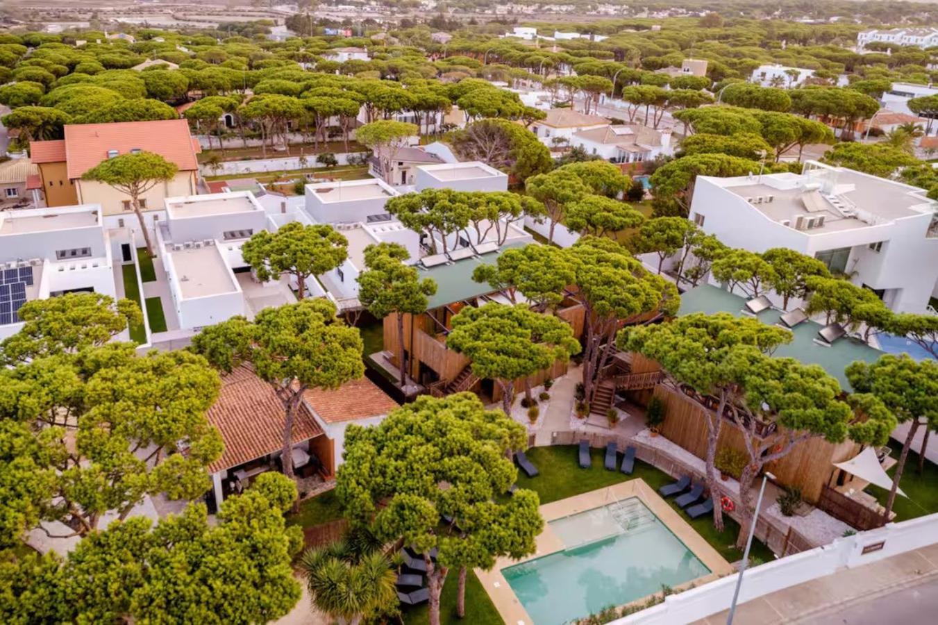 Apartamentos Biopasivos Living Pura Madera Chiclana de la Frontera Exterior photo